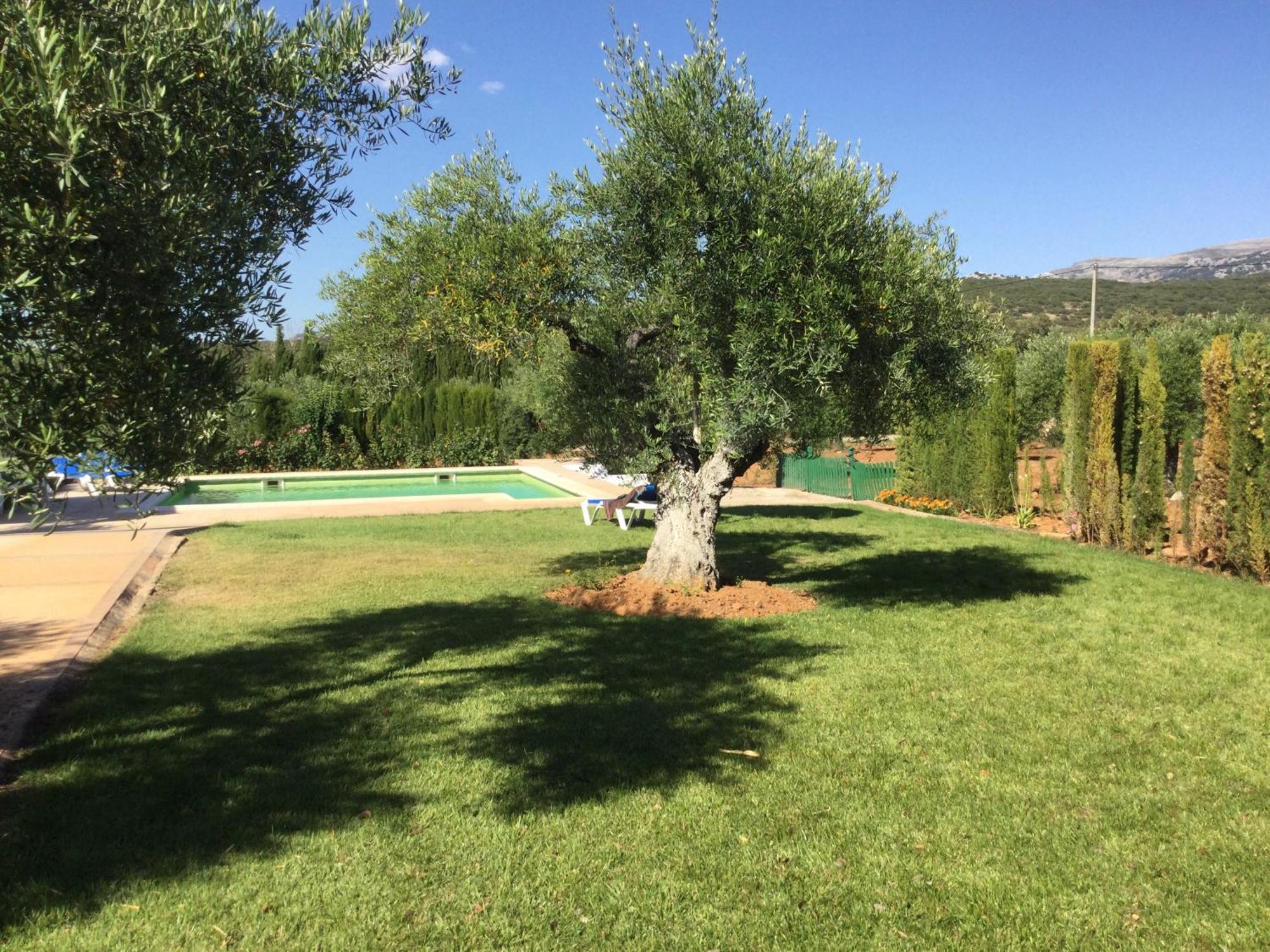 El Carmen Villa Ronda Kültér fotó