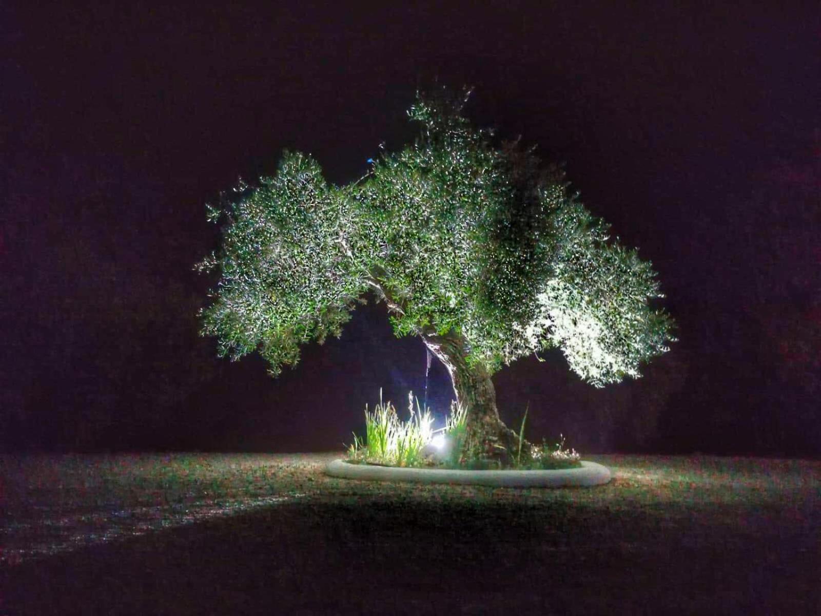 El Carmen Villa Ronda Kültér fotó