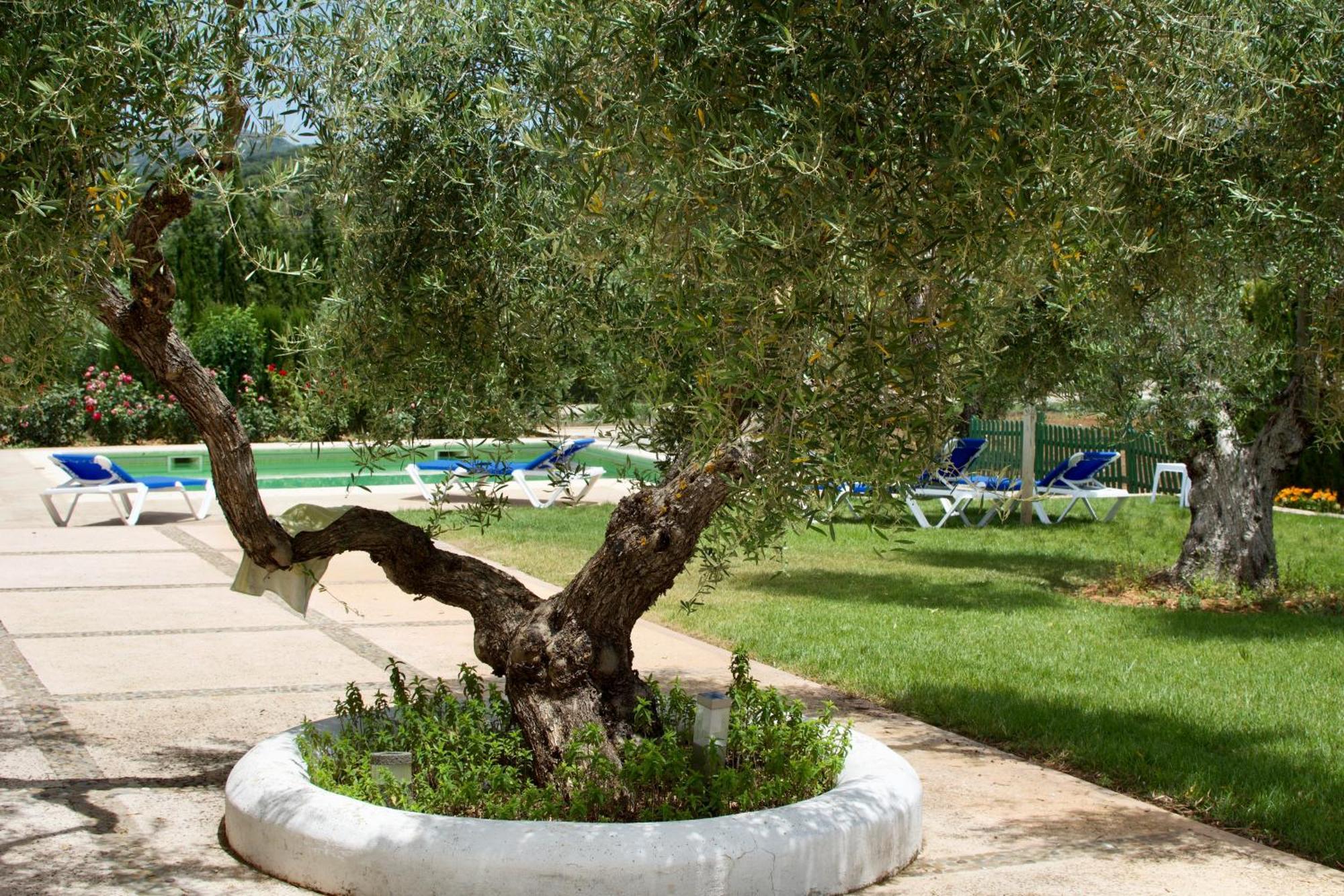 El Carmen Villa Ronda Kültér fotó